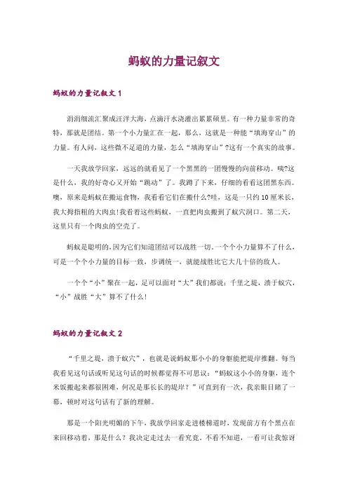 蚂蚁的力量记叙文