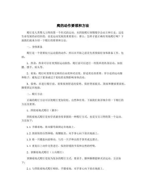 爬的动作要领和方法