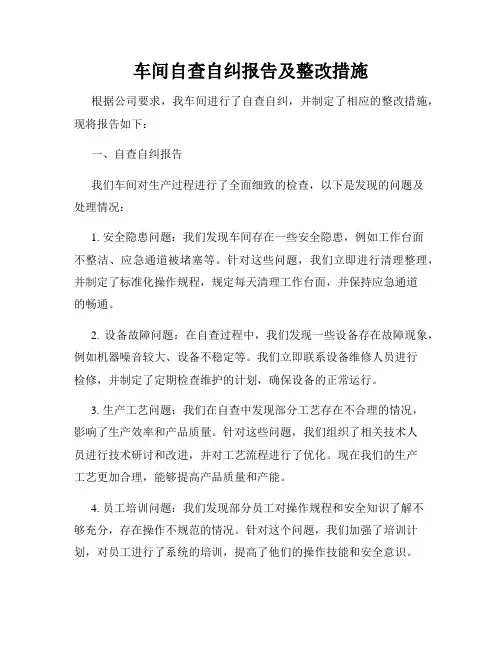 车间自查自纠报告及整改措施