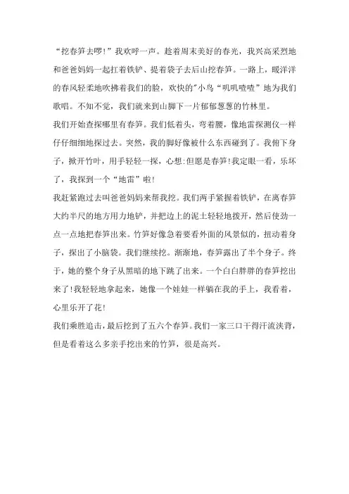 春天挖笋子的作文