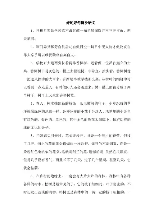 好词好句摘抄语文