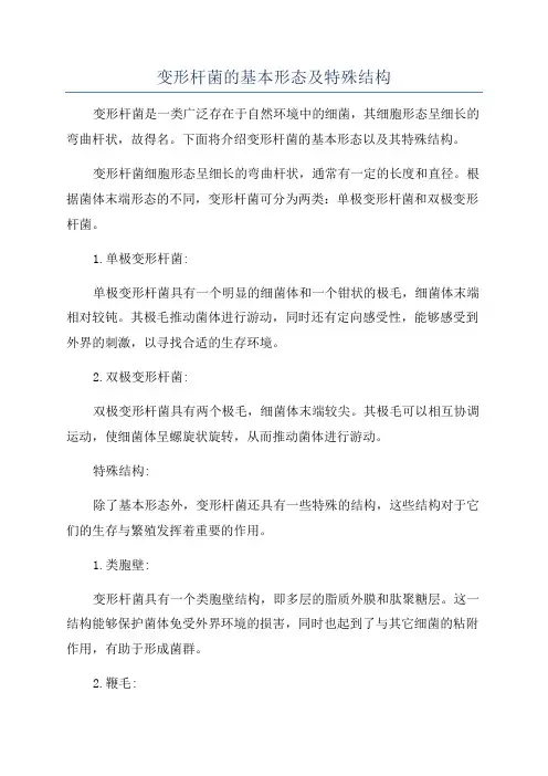 变形杆菌的基本形态及特殊结构