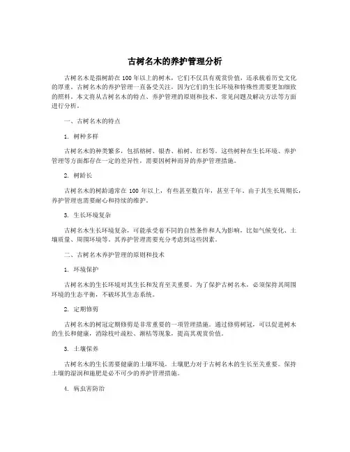 古树名木的养护管理分析