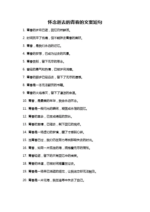 怀念逝去的青春的文案短句