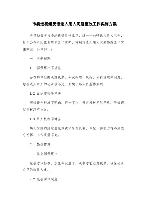 市委巡视组反馈选人用人问题整改工作实施方案