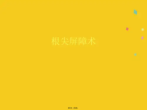 根尖屏障术(共9张PPT)