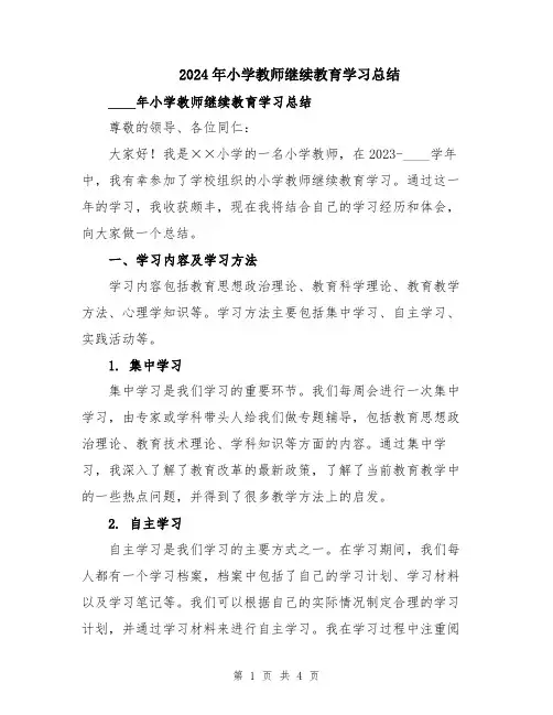 2024年小学教师继续教育学习总结