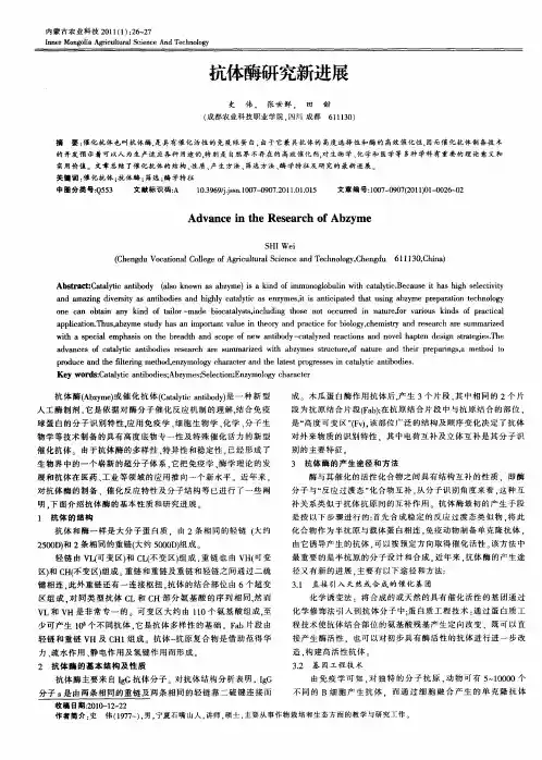 抗体酶研究新进展