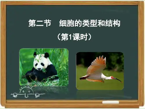苏教版高中生物必修一《细胞的类型和结构》第1课时课件-新版