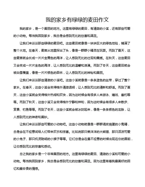 我的家乡有绿绿的麦田作文