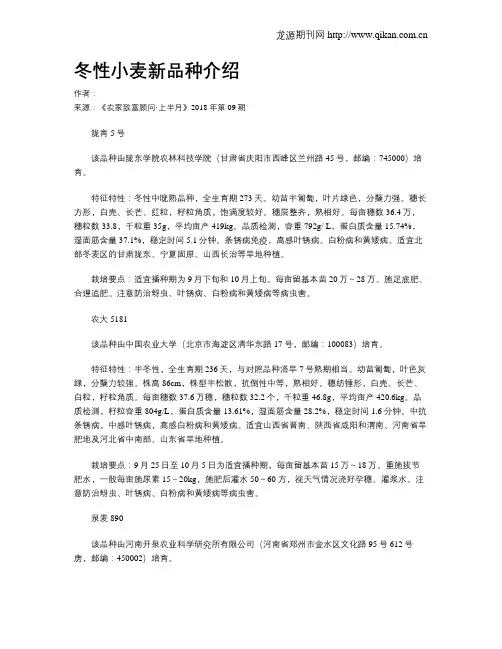 冬性小麦新品种介绍