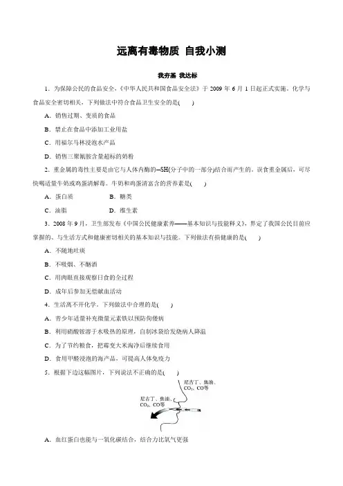 鲁教版化学九年级第5单元第3节远离有毒物质自测练习
