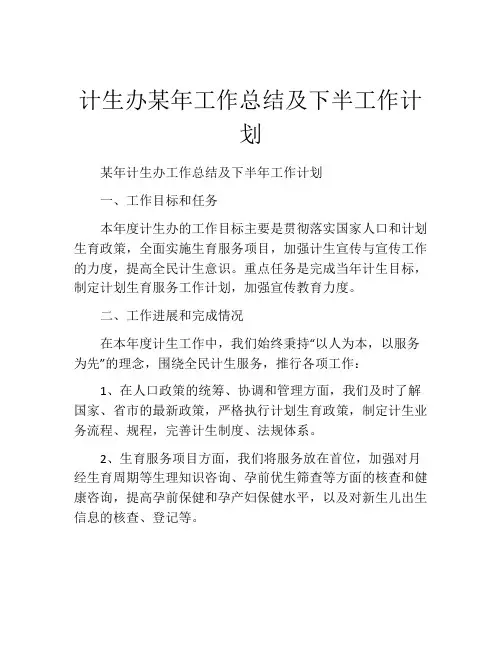 计生办某年工作总结及下半工作计划