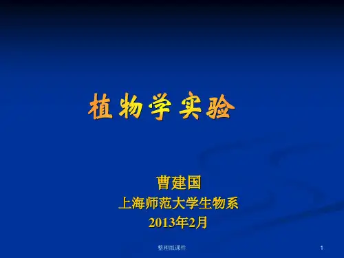 植物学实验1 显微镜的使用及植物细胞观察ppt课件