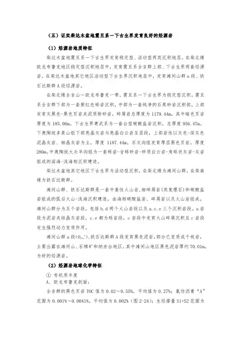 烃源岩