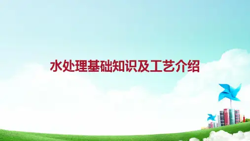 水处理基础知识及生化处理工艺介绍