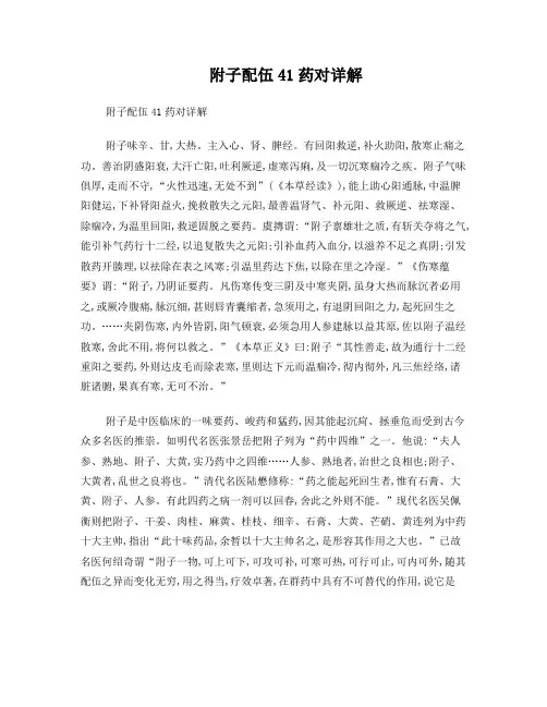 附子配伍41药对详解