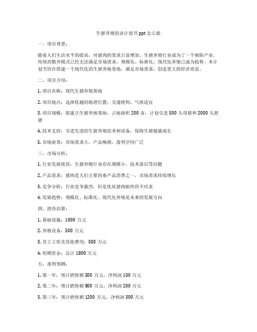 生猪养殖创业计划书ppt怎么做