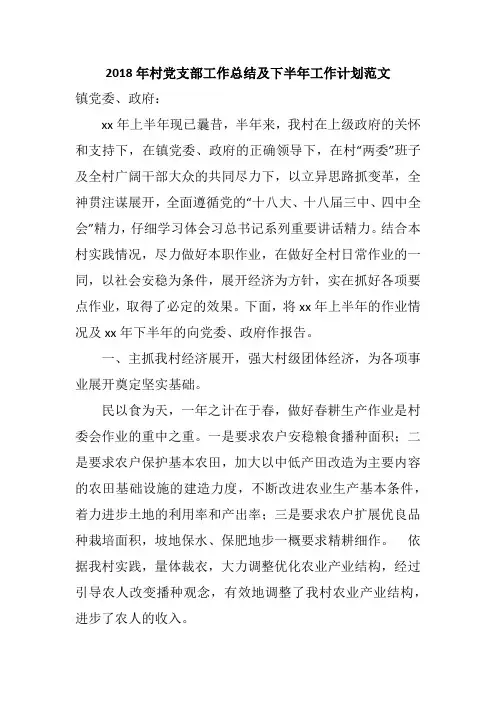 2018年村党支部工作总结及下半年工作计划范文