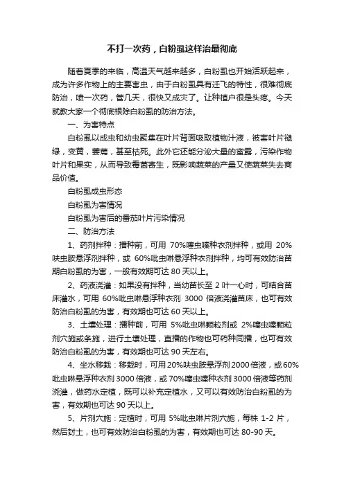 不打一次药，白粉虱这样治最彻底