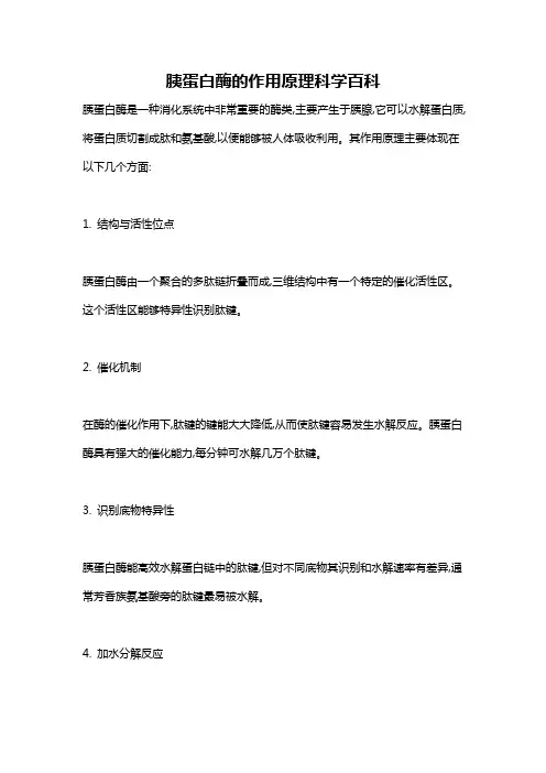 胰蛋白酶的作用原理科学百科