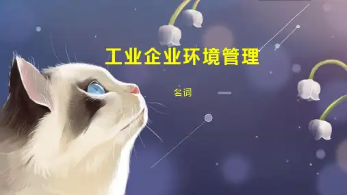 工业企业环境管理