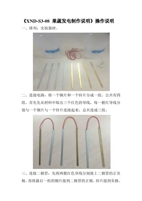 少儿科学3级(果蔬发电)--制作说明