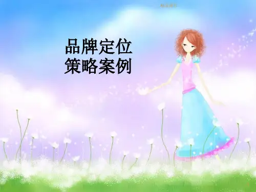 全版品牌定位案例.ppt