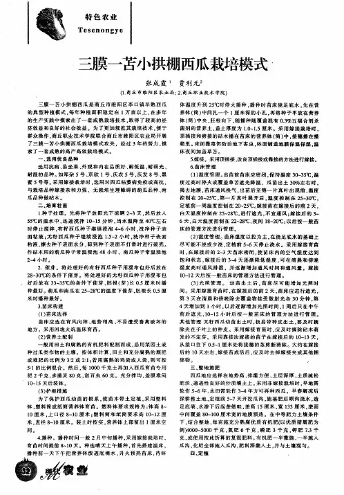 三膜一苫小拱棚西瓜栽培模式