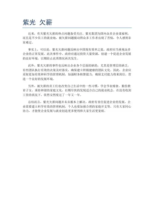 紫光 欠薪