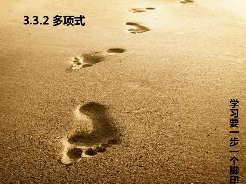 多项式 ppt 课件