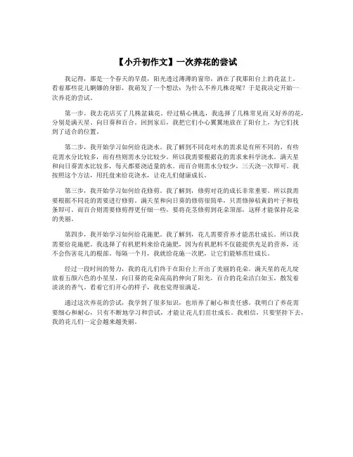 【小升初作文】一次养花的尝试