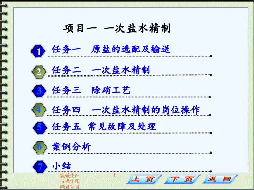 氯碱生产与操作张艳君项目一 一次盐水精制 ppt课件