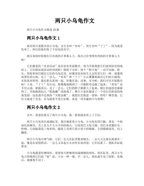两只小乌龟作文
