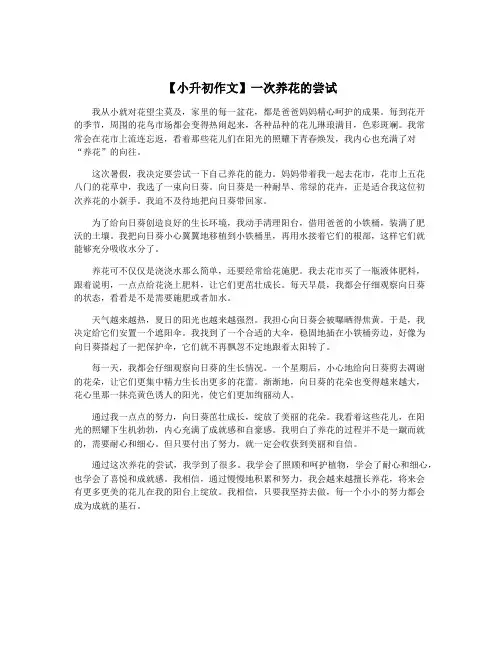 【小升初作文】一次养花的尝试