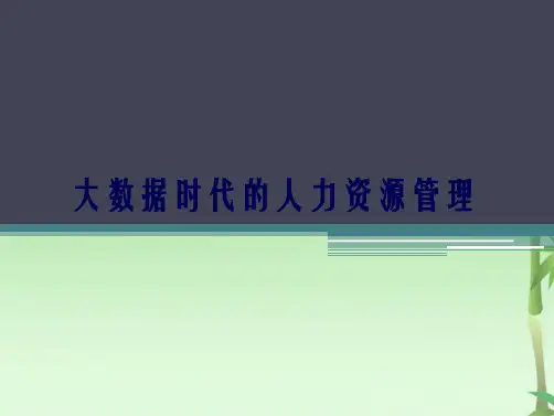 大数据与人力资源管理(共37张PPT)