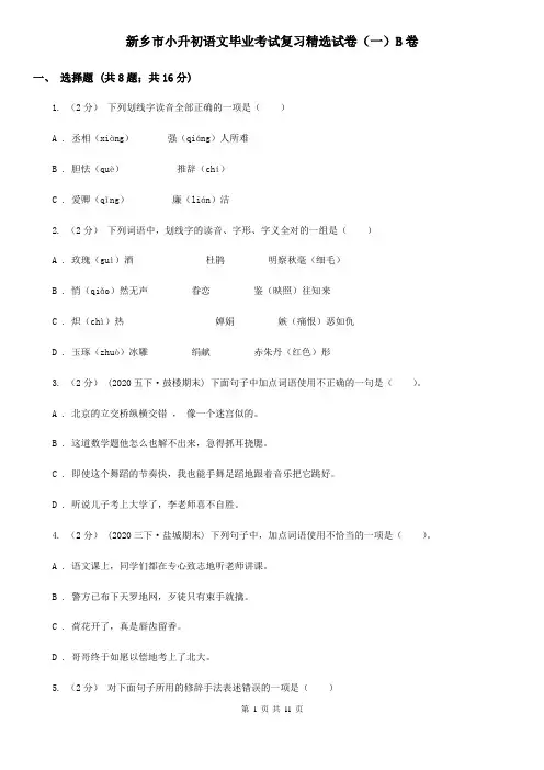 新乡市小升初语文毕业考试复习精选试卷(一)B卷