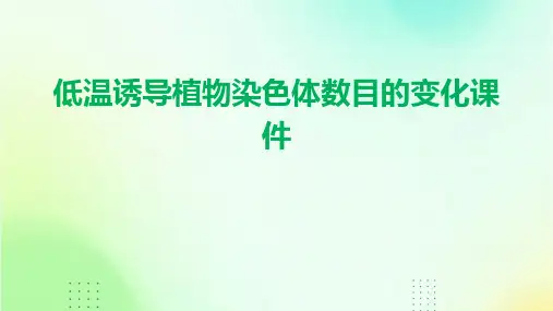 低温诱导植物染色体数目的变化课件