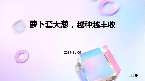 萝卜套大葱,越种越丰收