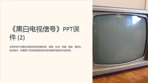 《黑白电视信号》课件 (2)