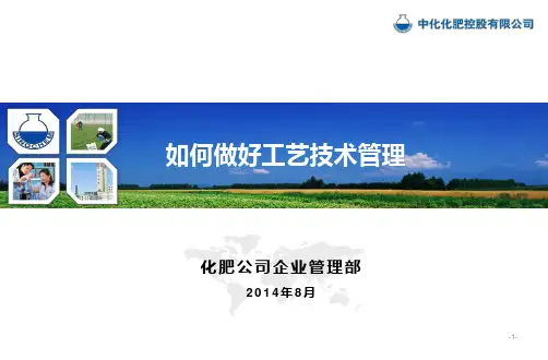 如何做好工艺技术管理.pptx
