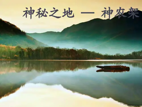 神龙架介绍。