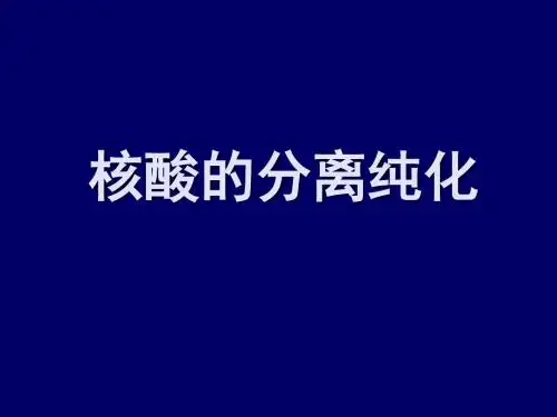 核酸的分离与纯化.