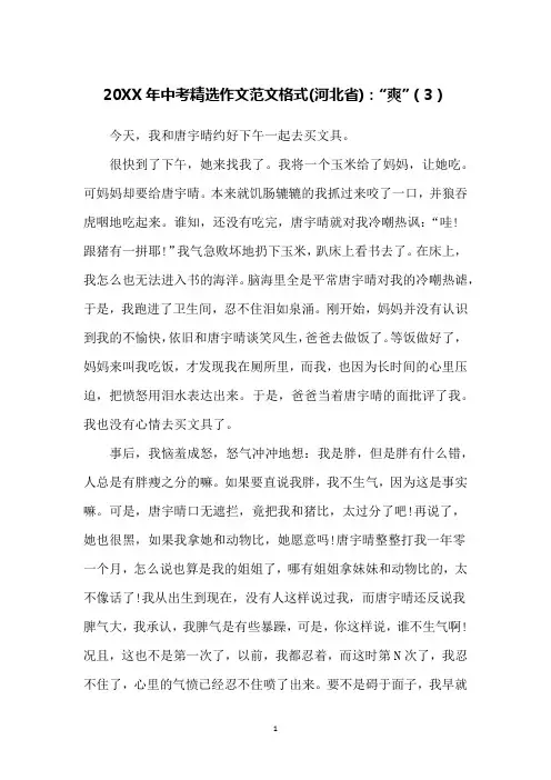 20XX年中考精选作文范文格式(河北省)：“爽”(3)