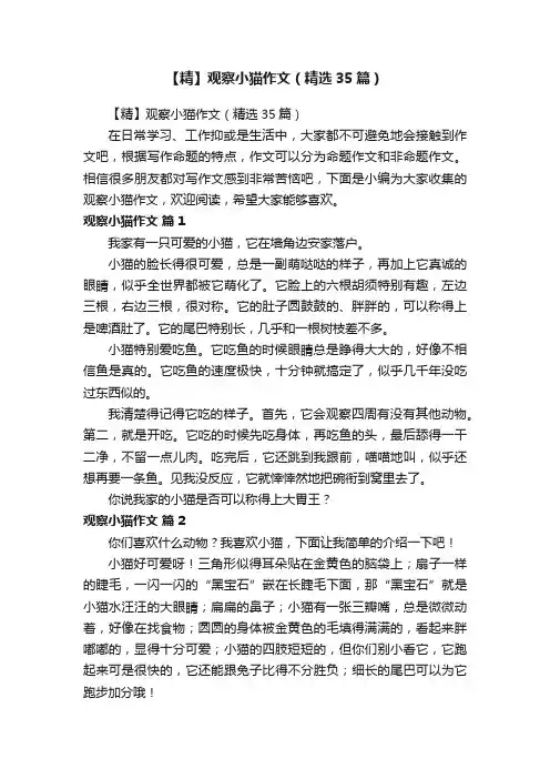 【精】观察小猫作文（精选35篇）