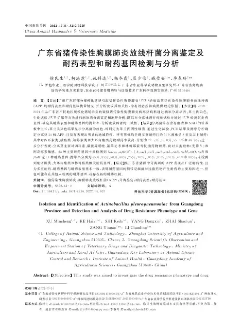 广东省猪传染性胸膜肺炎放线杆菌分离鉴定及耐药表型和耐药基因检测与分析
