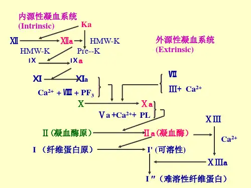 29作用于血液和造血器官的药物1-文档资料