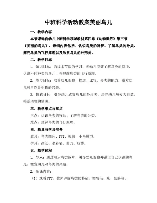 中班科学活动教案美丽鸟儿