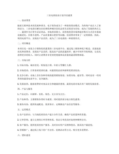 三农电商创业计划书卖蔬菜