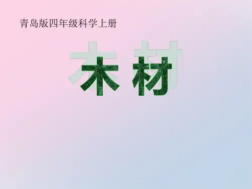 2021年《木材》PPT课件文档